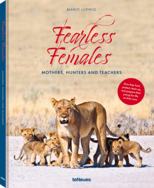 Fearless Females: Mothers, Hunters and Teachers