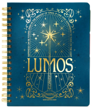 Harry Potter: Spells and Potions 12-Month Undated Planner: (Harry