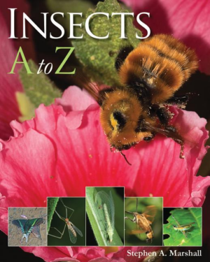 Insects A To Z