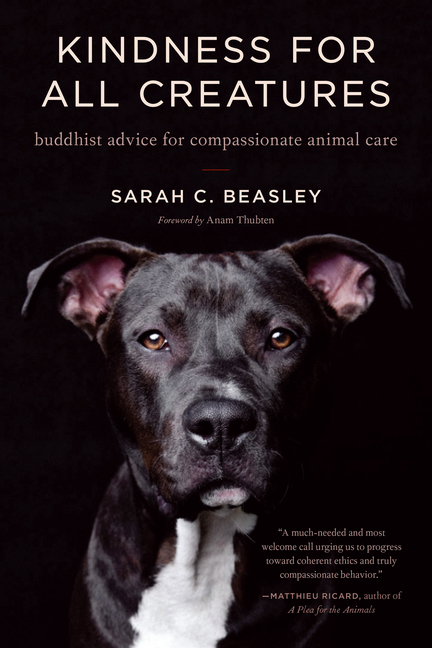 Kindness for All Creatures: Buddhist Advice for Compassionate Anim