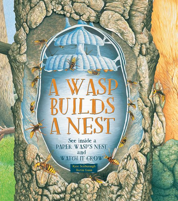 Wasp Builds a Nest: See Inside a Paper Wasp's Nest and Watch It Gr