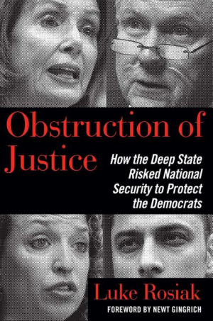 Obstruction of Justice : How the Deep State Risked National Securi